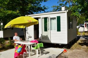 camping-chevreuils